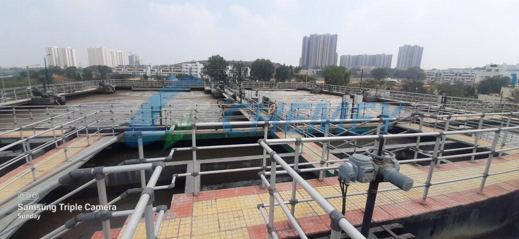 DAY OF SURVEY