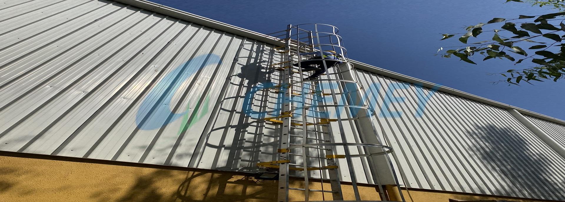 Cage Ladder