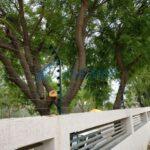 Electric Fence Brochure