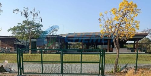 Gate and Gate Automation