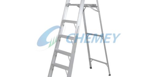 Platform Ladder